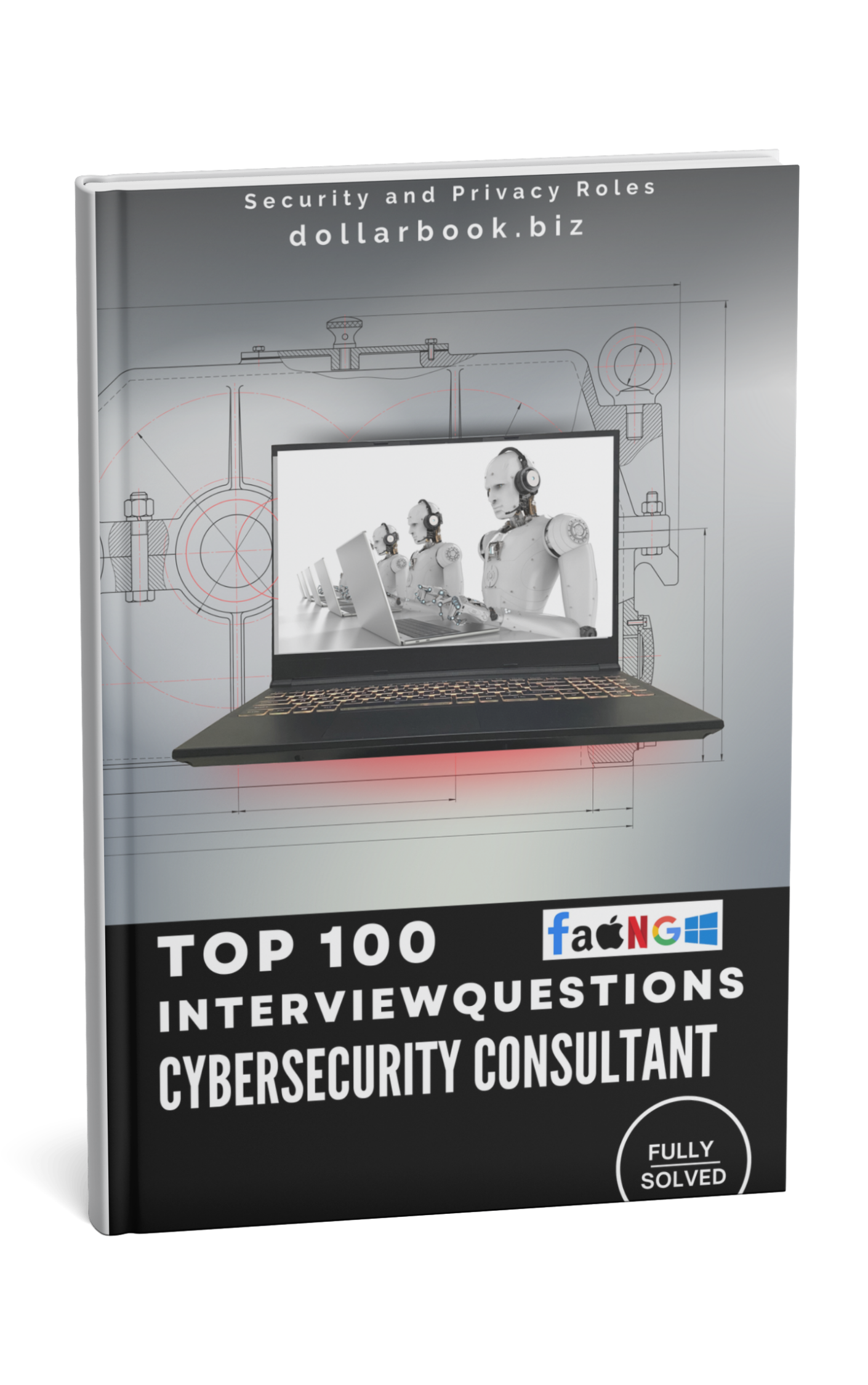 Cybersecurity Consultant
