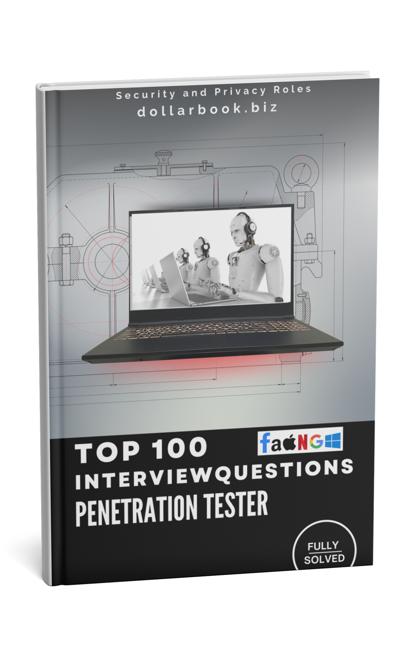 Penetration Tester